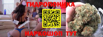 ешки Аргун