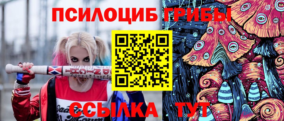 Псилоцибиновые грибы Psilocybine cubensis Владивосток
